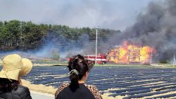 incendio-florestal-tira-centenas-de-casa-na-coreia-do-sul