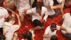 la-tomatina:-milhares-se-reunem-em-cidade-da-espanha-para-grande-guerra-de-tomate-pelas-ruas;-video