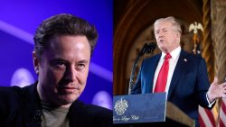 trump-diz-que-elon-musk-vai-liderar-‘comissao-de-eficiencia-do-governo’-em-eventual-2o-mandato